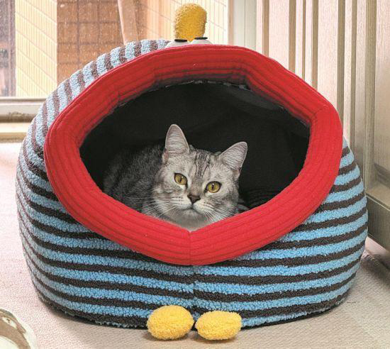 Pets Overwintering: Unlocking a Hundred Billion-RMB Market