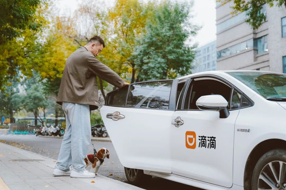 Didi Launches "Pet Services," Covering Transportation, On-Demand Feeding, Walking, and Grooming