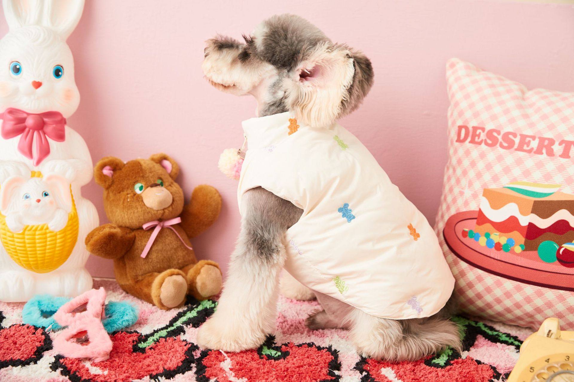 Search volume for pet warmth-related products surged nearly 250% year-on-year